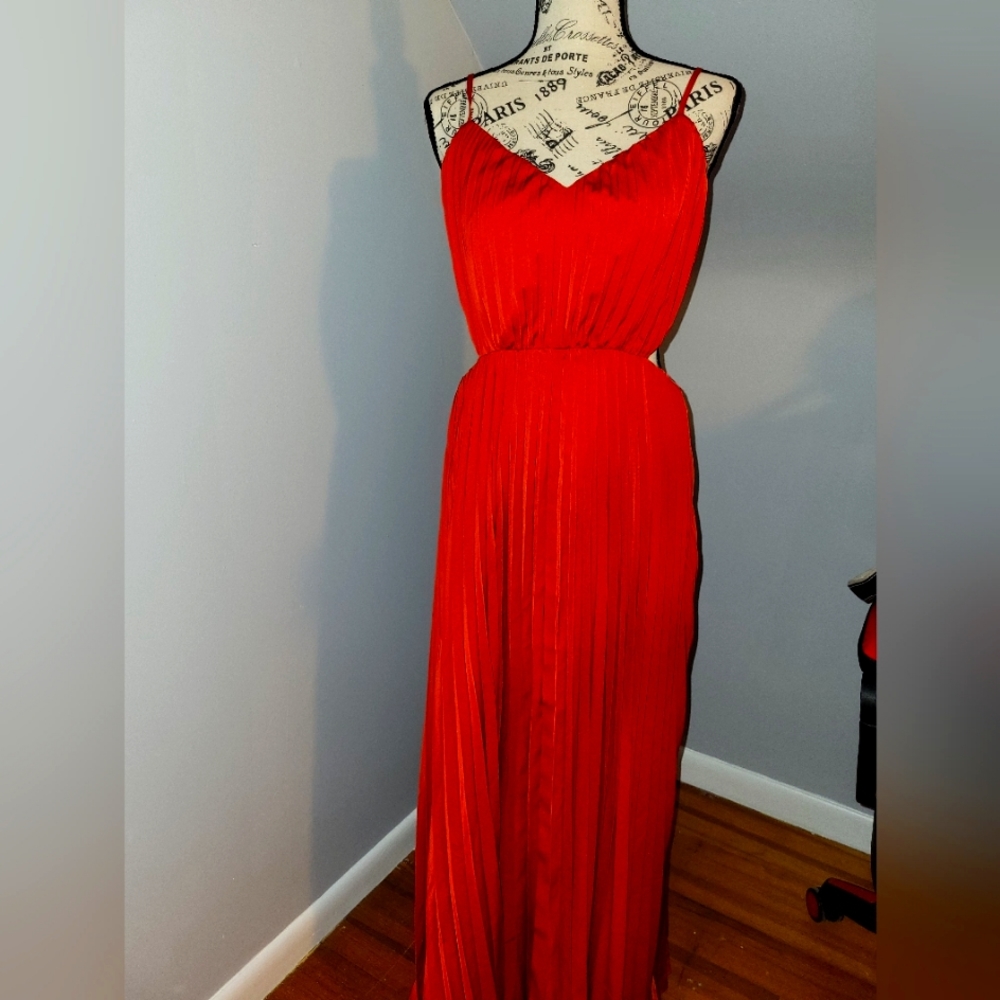 Beautiful spring pleated burnt orange Express dress.